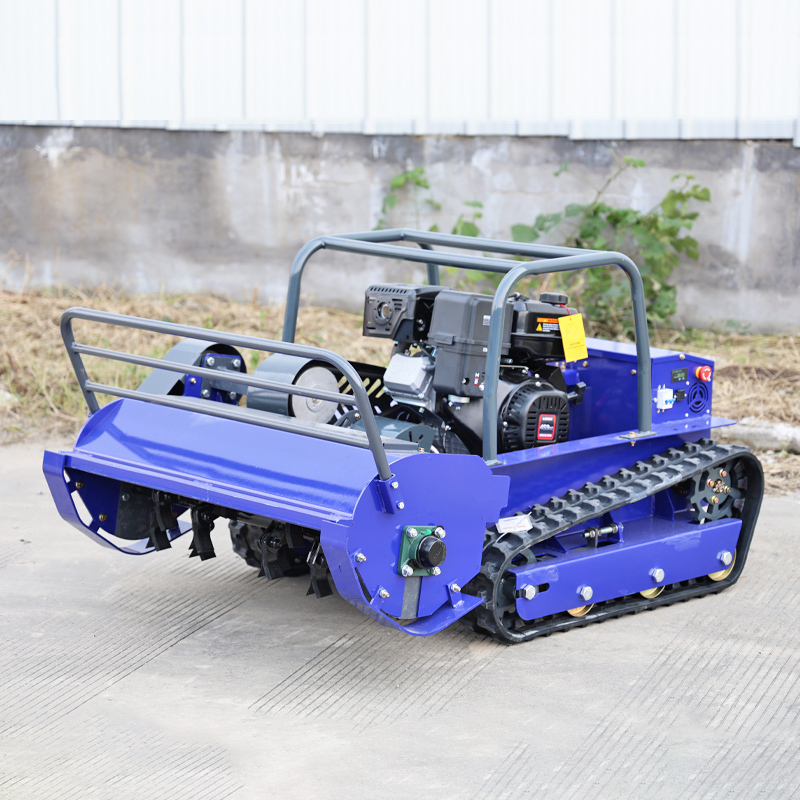 Tosaerba personalizzato con mo - Power Tools Yard recensione e prezzo